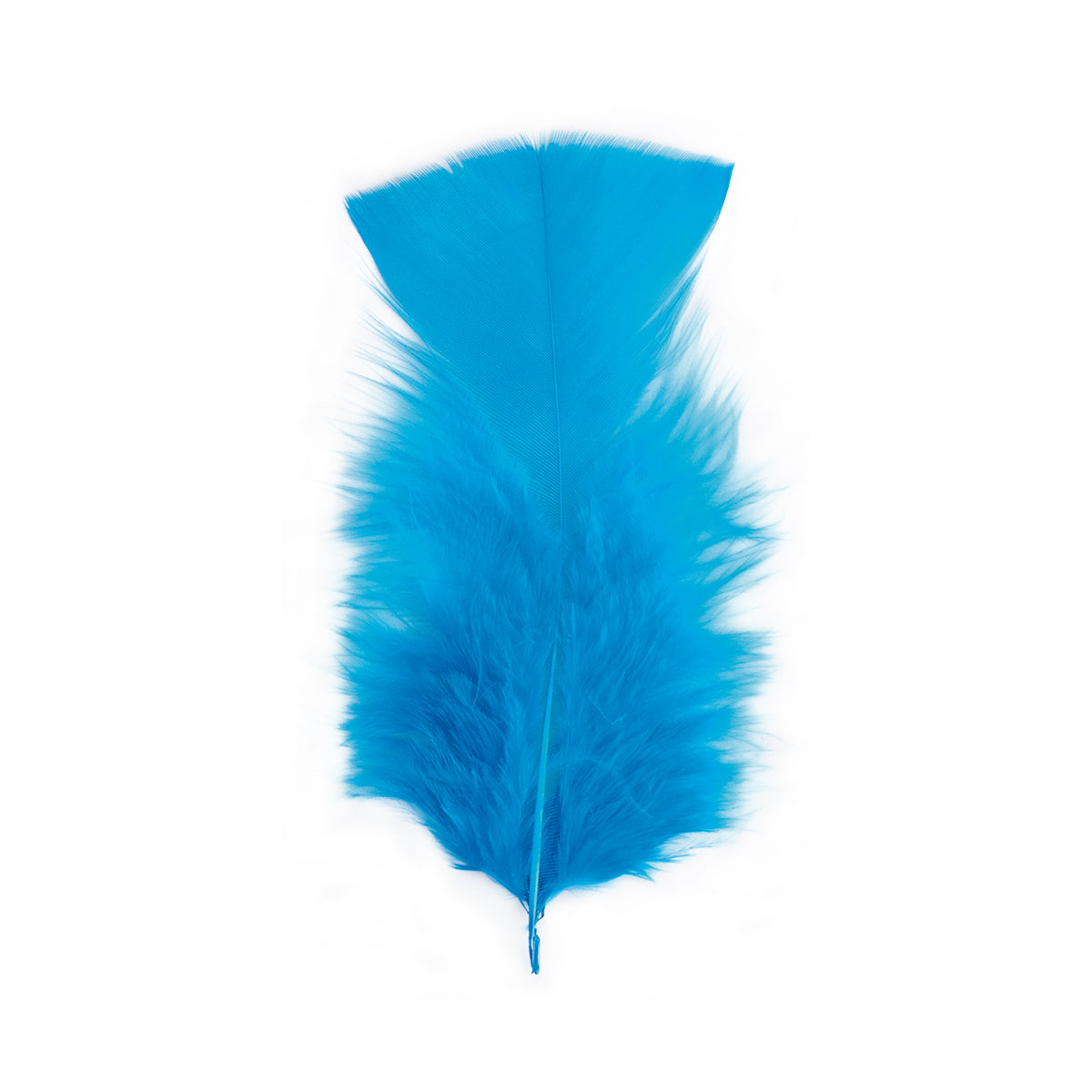 Pluma x 12
