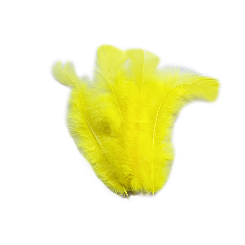 Pluma x 12