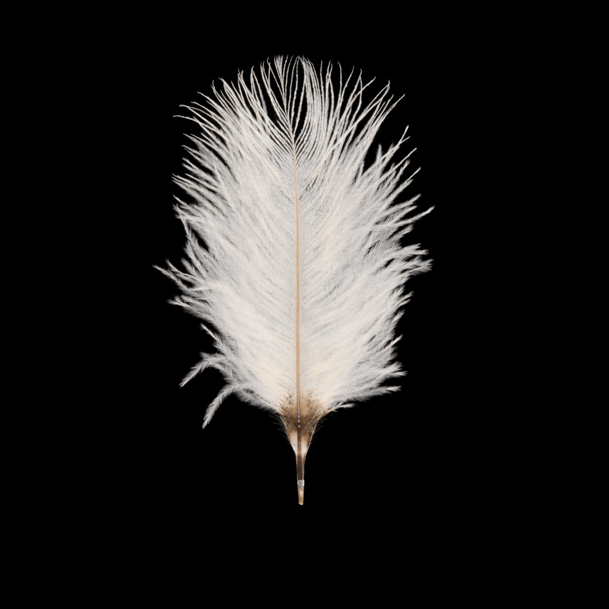 Pluma Artificial 6-8