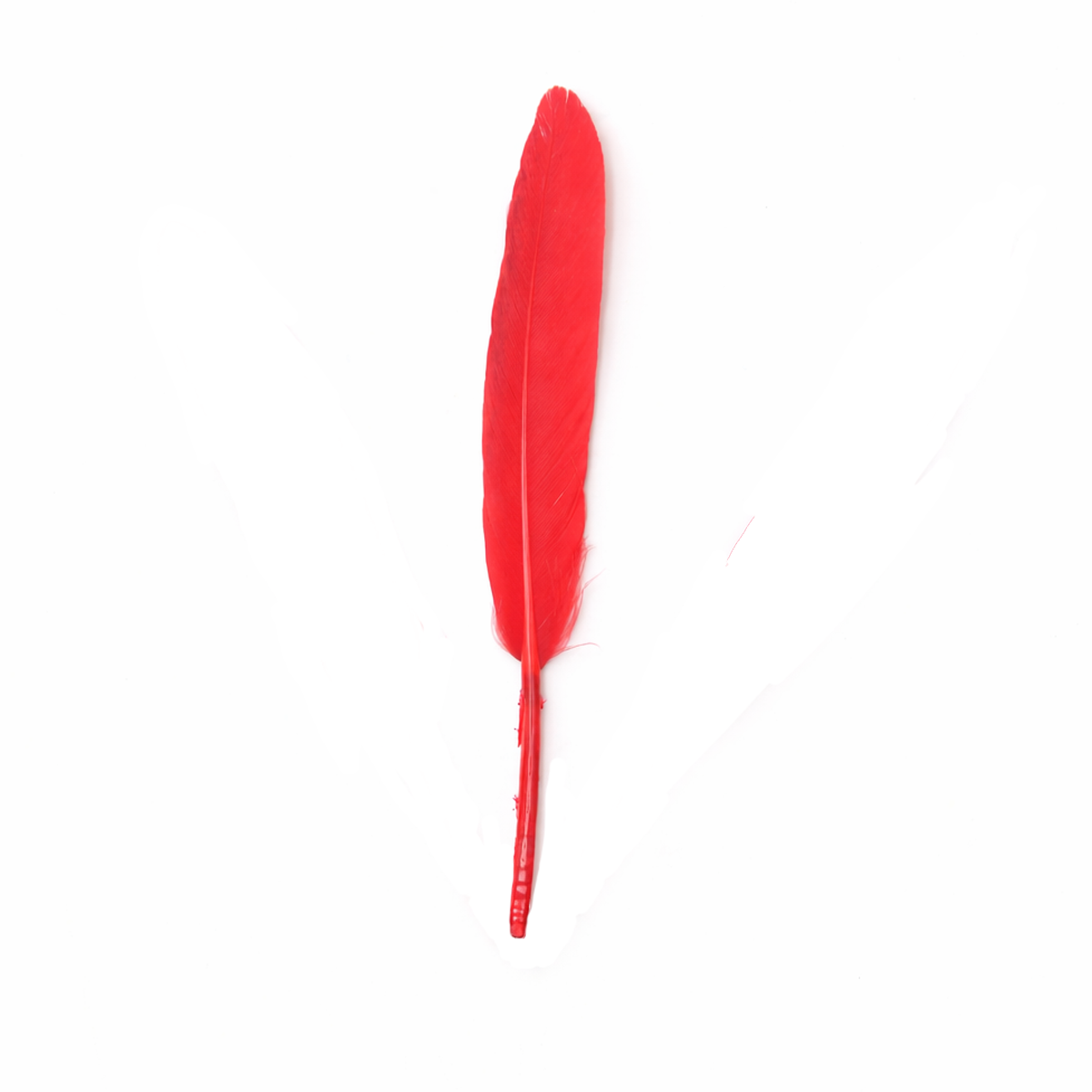 Pluma Ganso Pequeña 2.5gr