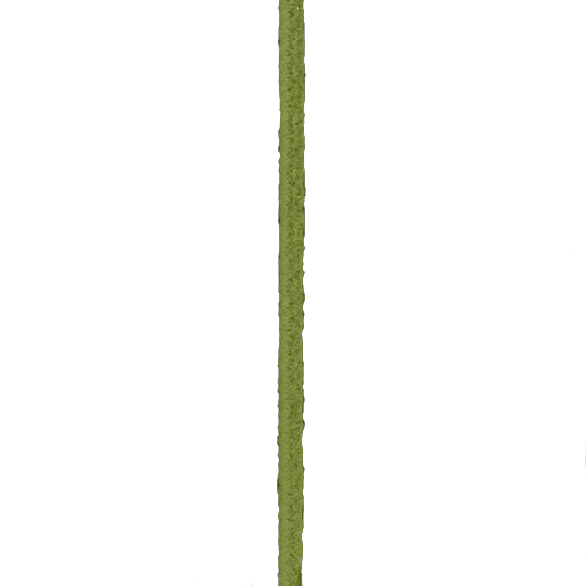 Elástico Redondo #5 3mm