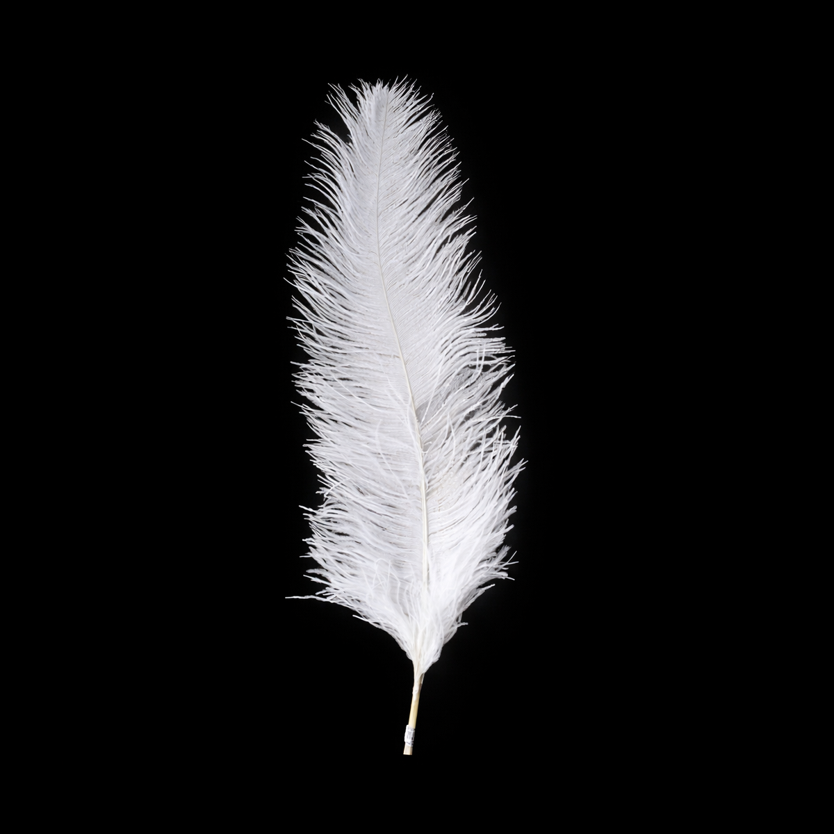 Pluma Avestruz Grande