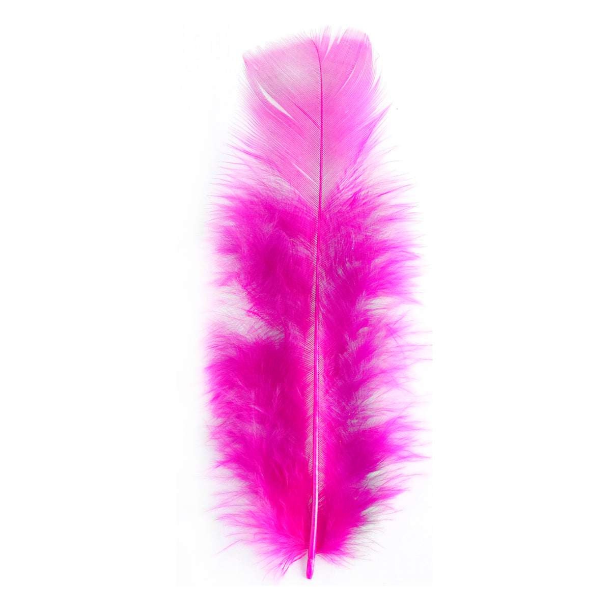 Pluma x 12