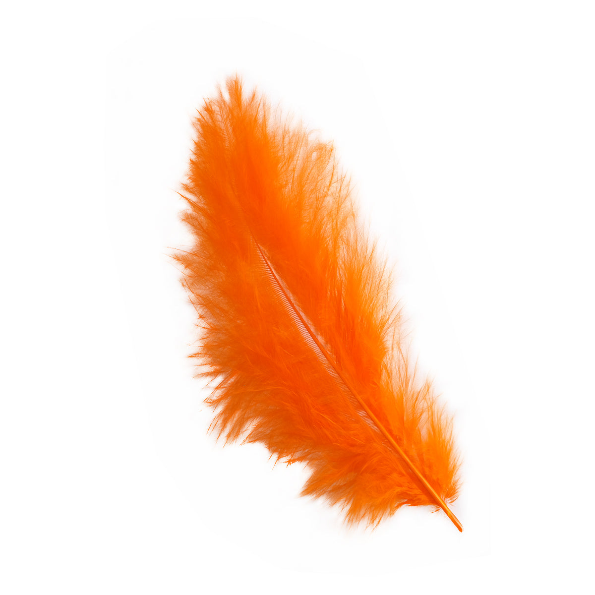 Pluma x 12