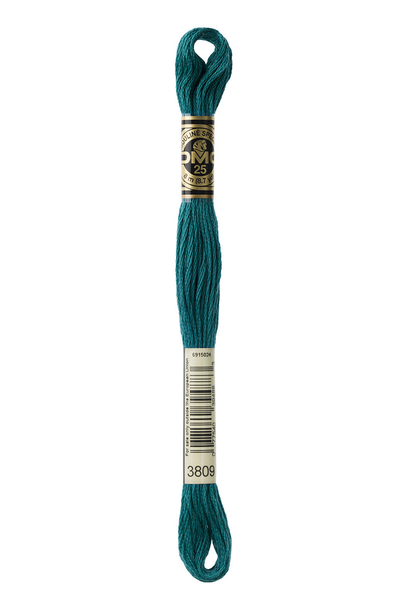 Hilo DMC Turquesa (13 colores)