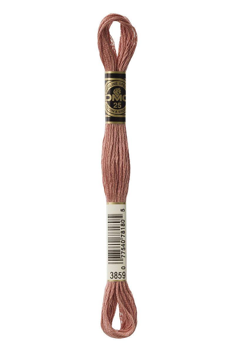 Hilo DMC Café (54 colores)