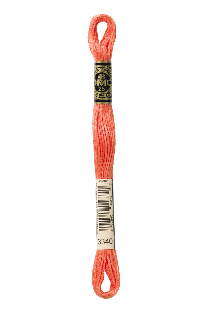 Hilo DMC Naranja (23 colores)