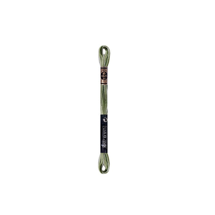 Hilo DMC Matizado (18 colores)