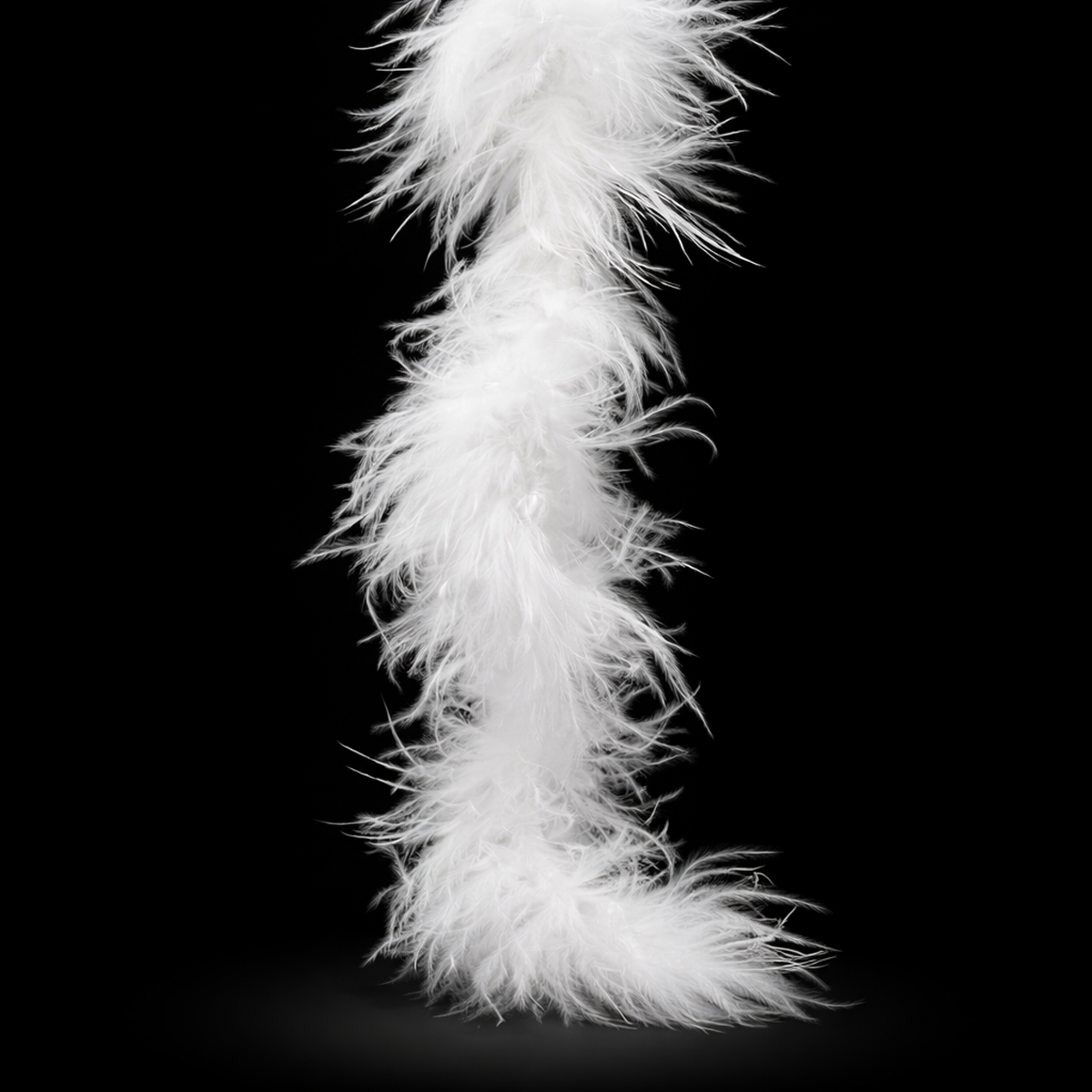 Pluma Marabou