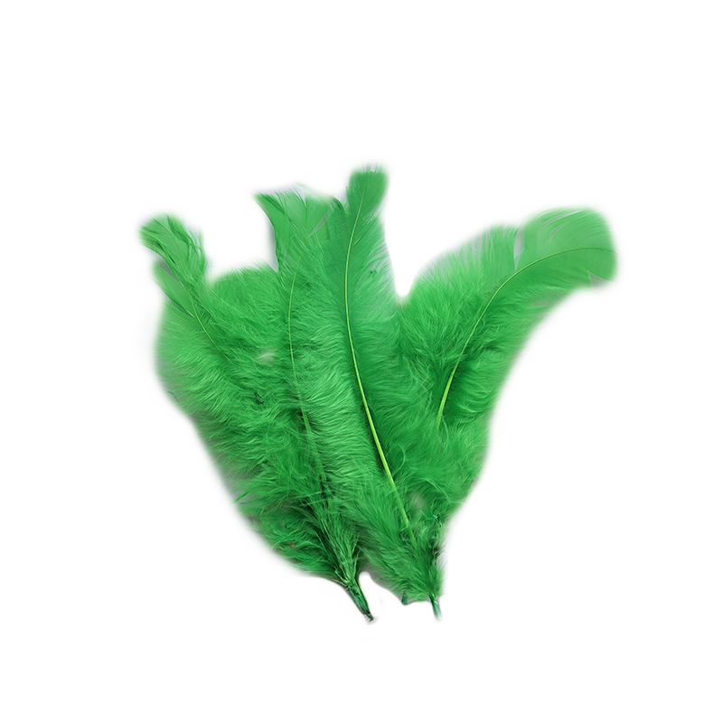 Pluma x 12