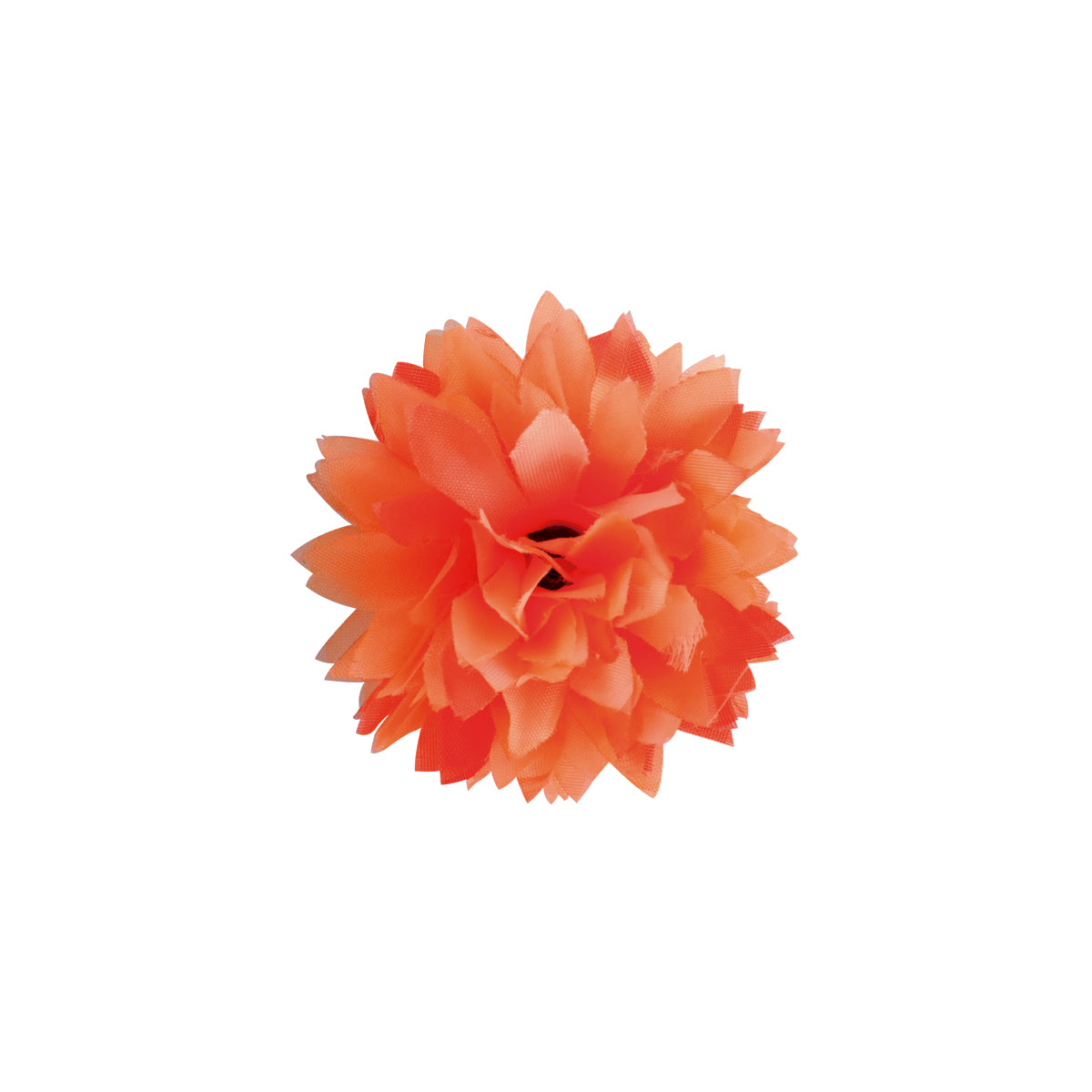 Flor Pompón