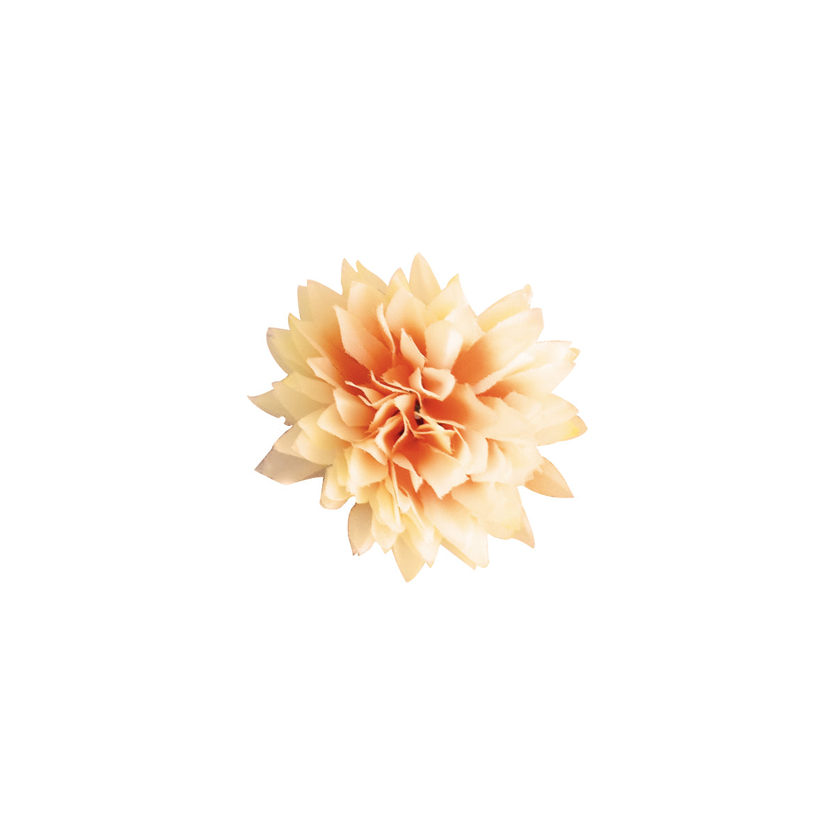 Flor Pompón