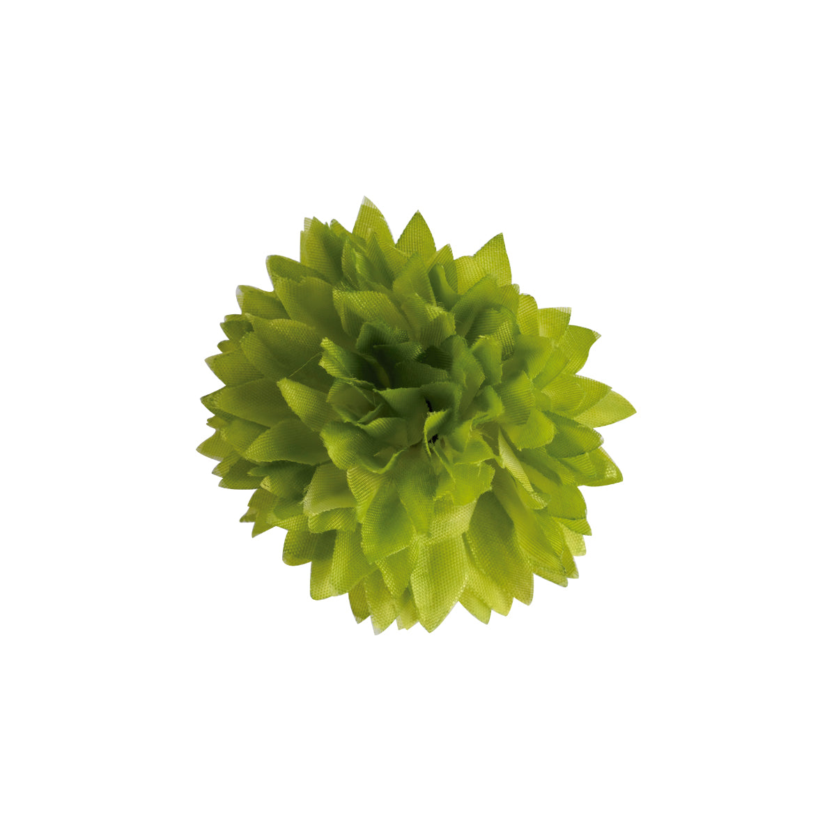 Flor Pompón
