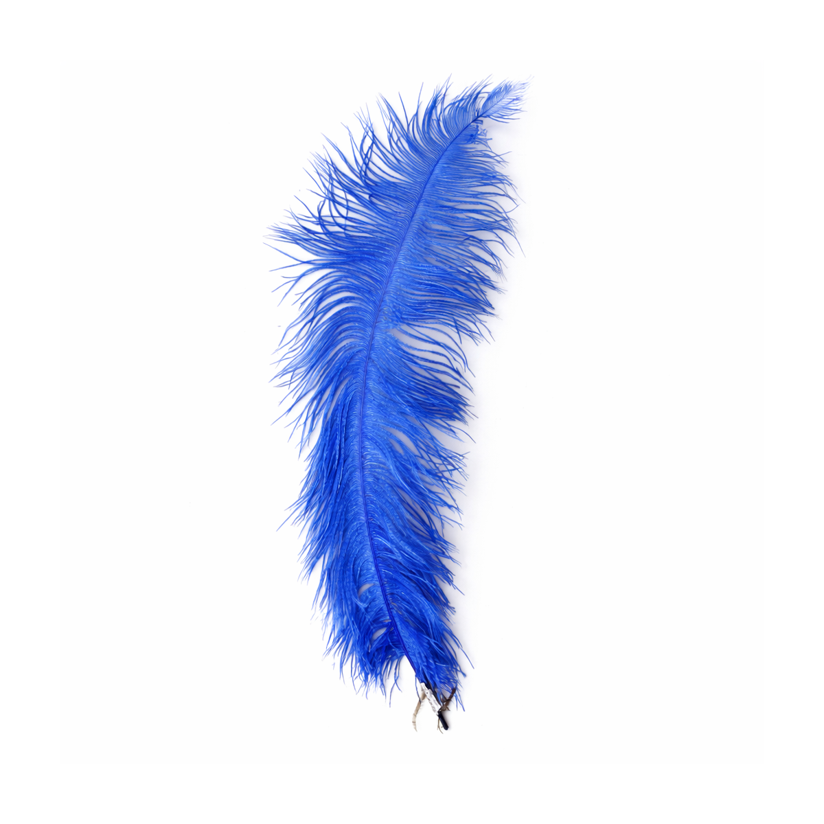 Pluma Avestruz Grande