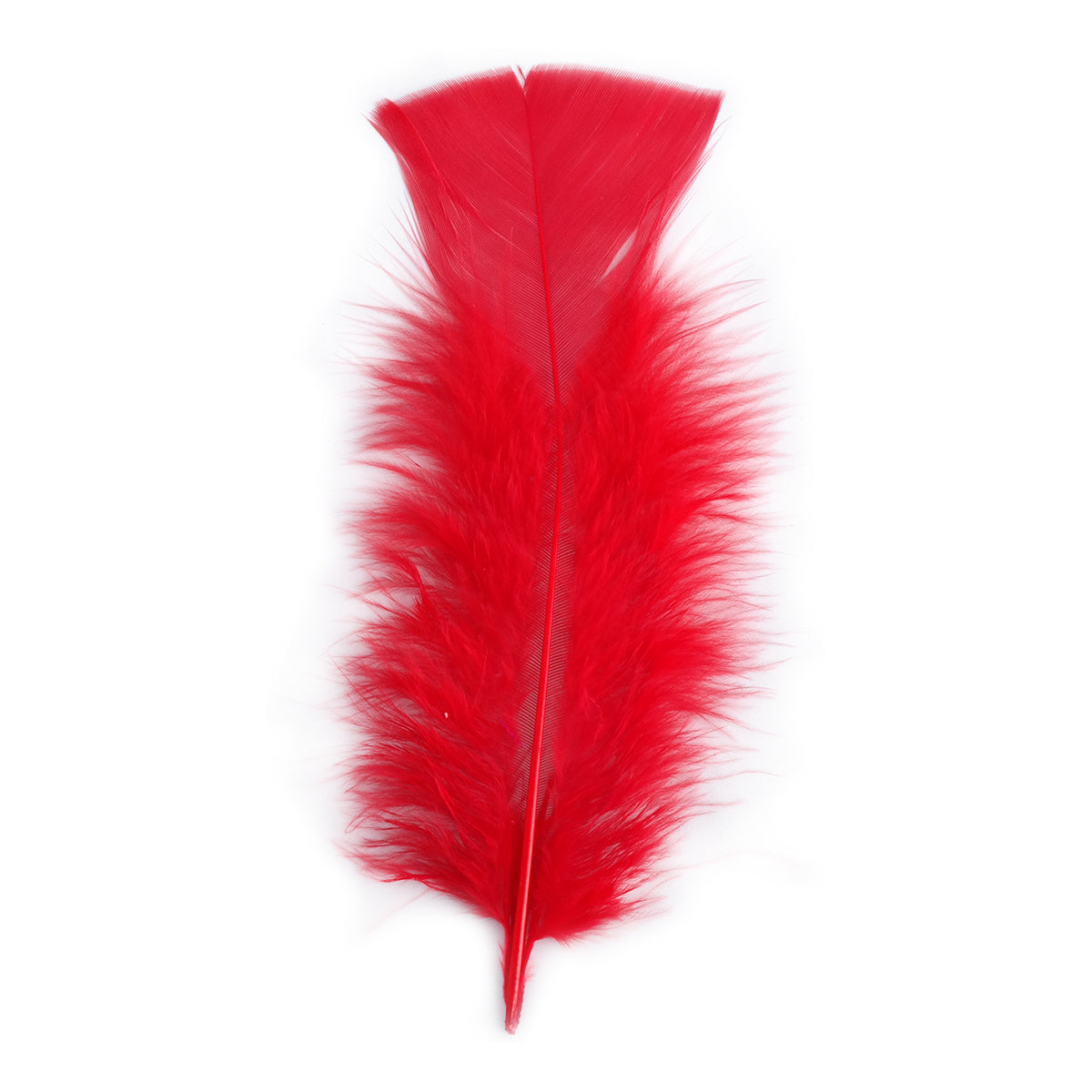 Pluma x 12