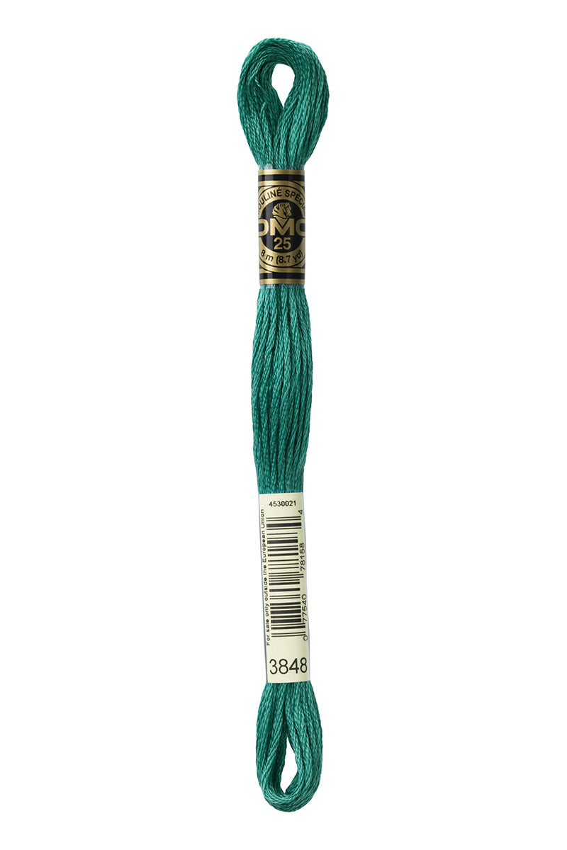 Hilo DMC Turquesa (13 colores)