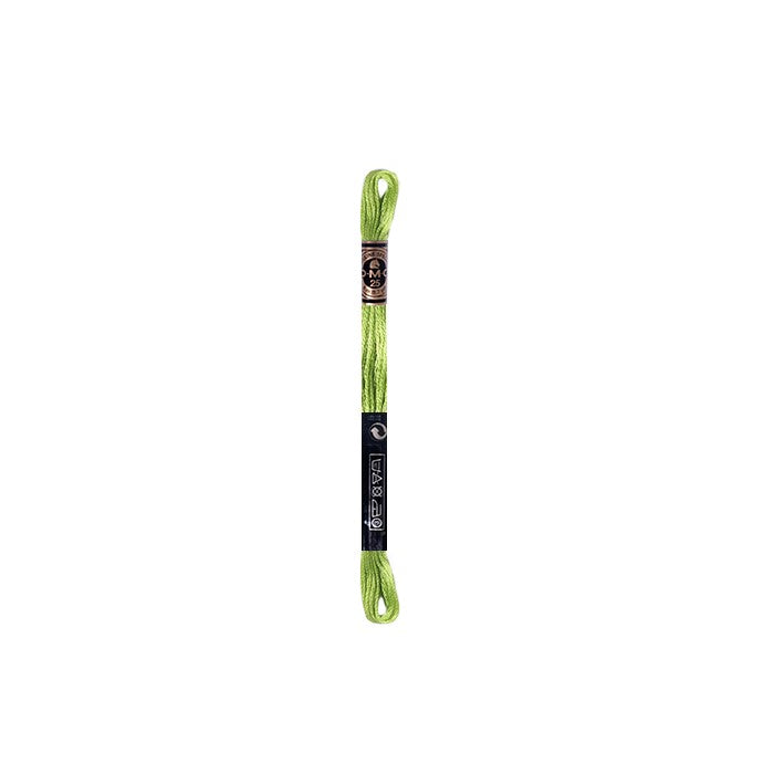 Hilo DMC Verde (61 colores)