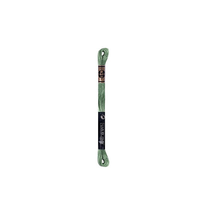 Hilo DMC Verde (61 colores)