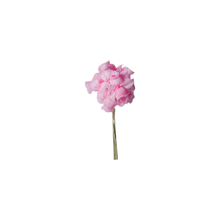 Flor Guía