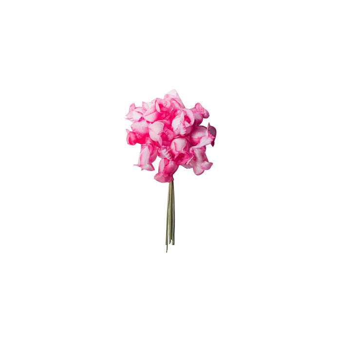 Flor Guía