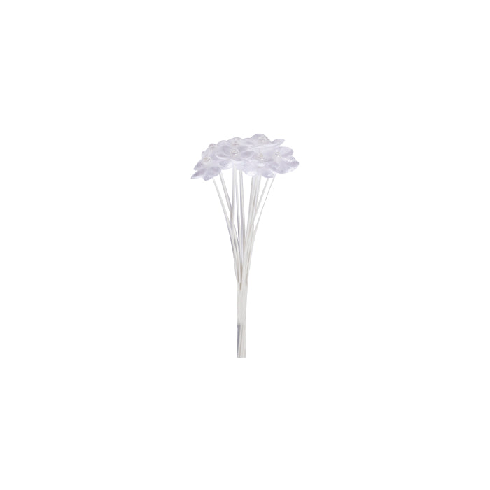 Flor Miosoti Doble