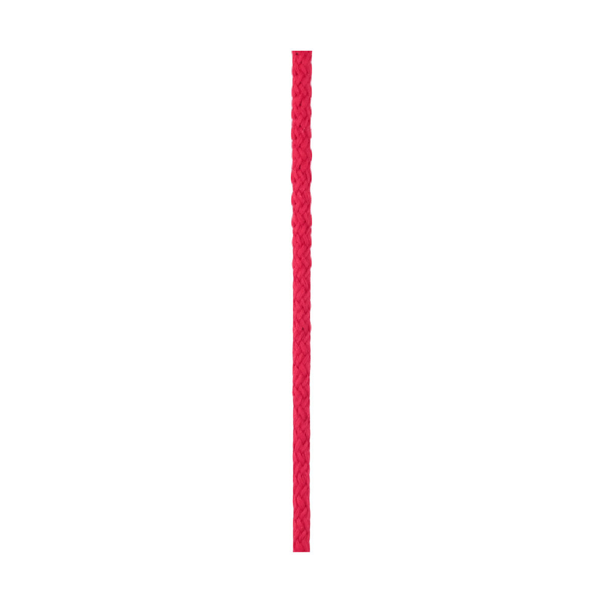 Cordón Poliéster #6